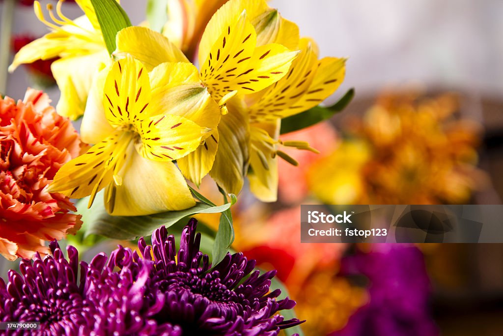 Flores frescas nos papais, cravos, Alstromeria - Foto de stock de Alstromeria royalty-free