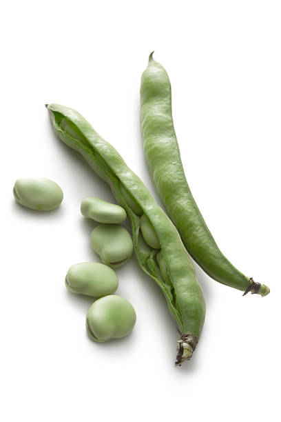legumes: fava - fava bean broad bean vegetable bean - fotografias e filmes do acervo