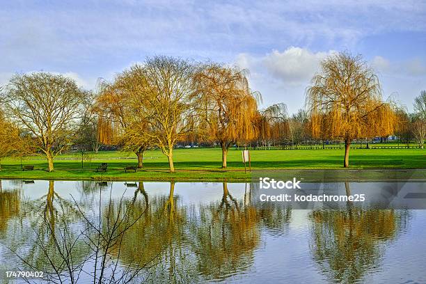 Río Avon Foto de stock y más banco de imágenes de Agua - Agua, Aire libre, Arriba de