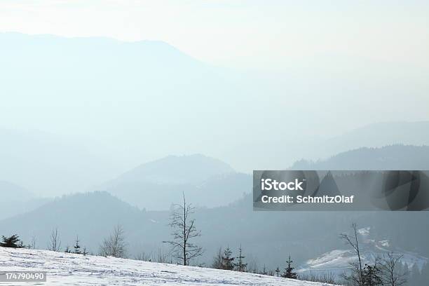 Nívea Landsacpe De Invierno Con Sol Foto de stock y más banco de imágenes de Aire libre - Aire libre, Blanco - Color, Bosque