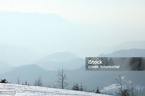 Белоснежного Winter Landsacpe С Солнце — стоковые фотографии и другие картинки Без людей - Без людей, Белый, Время года