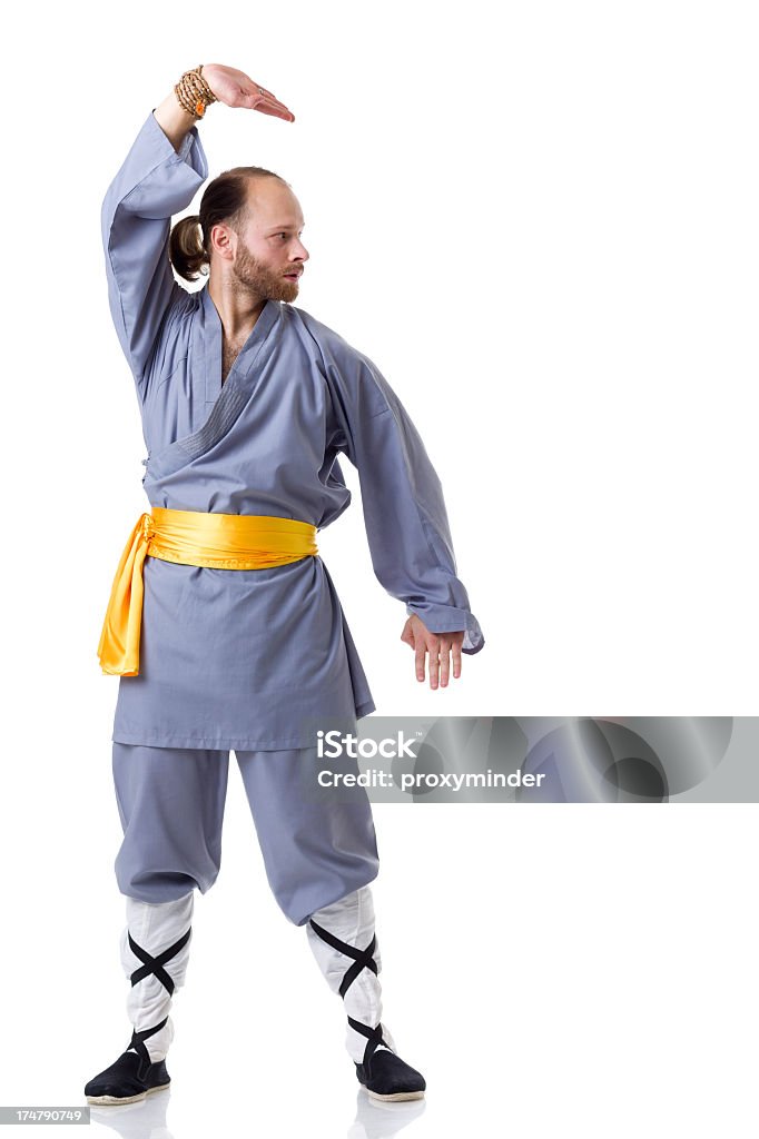 Kung Fu pozycji walki na białym tle - Zbiór zdjęć royalty-free (Agresja)