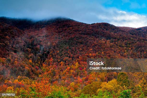 Monte Lyn Lowry Milepost 445 Blue Ridge Parkway Carolina Del Norte Foto de stock y más banco de imágenes de Aire libre