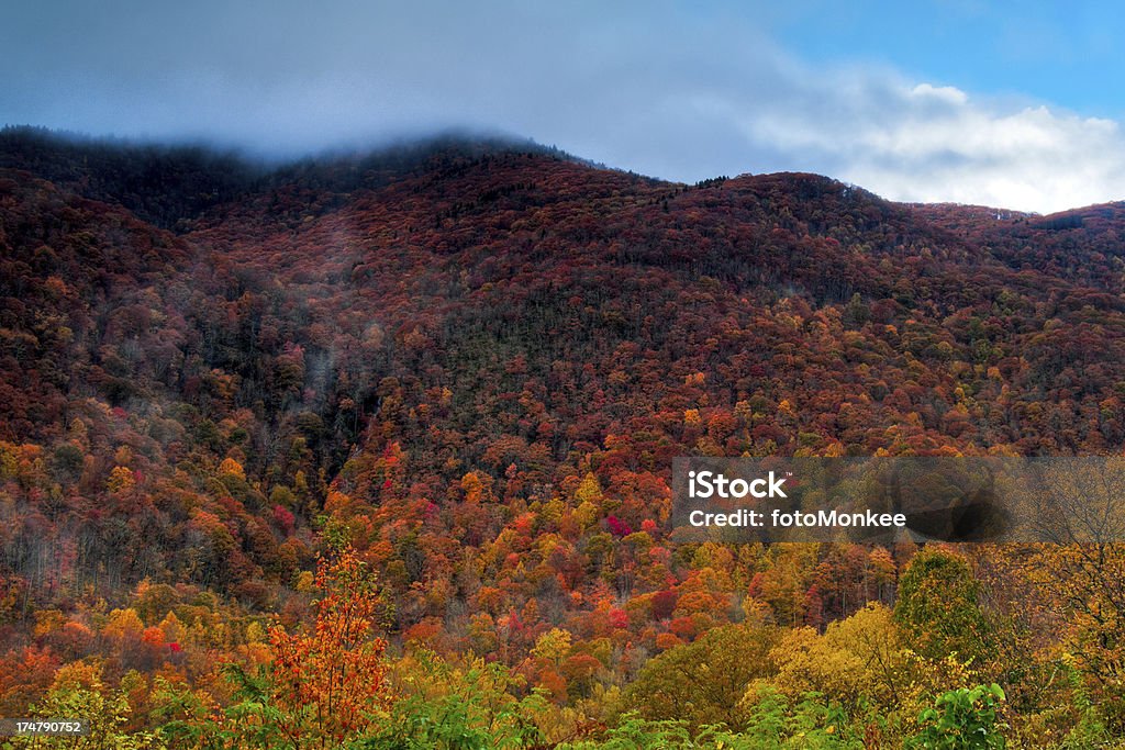 Mont Lyn Lowry, Milepost 445, Blue Ridge Parkway, en Caroline du Nord - Photo de Angle de prise de vue libre de droits