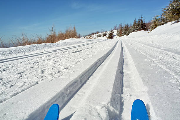 ユキコ冬の風景、クロスカントリートラックにブラックの森 - cross country skiing black forest germany winter ストックフォトと画像