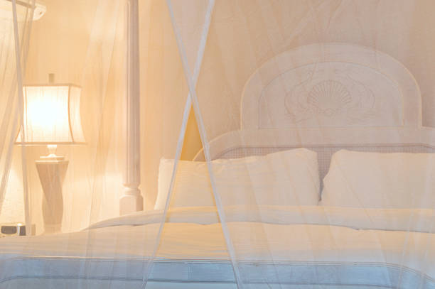Luxury Bed with Moquito Netting Hi-Key shot of luxury hotel bed with focus on surrounding mosquito net mosquito mosquito netting four poster bed bed stock pictures, royalty-free photos & images