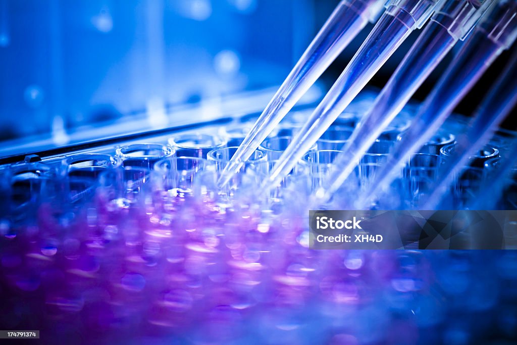 Analyzing samples medical research  in pharmaceutical factory laboratory. Laboratory Stock Photo