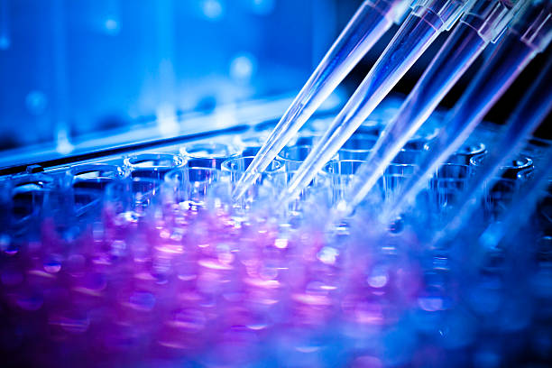 Analyzing samples medical research in pharmaceutical factory laboratory. pharmaceutical factory stock pictures, royalty-free photos & images