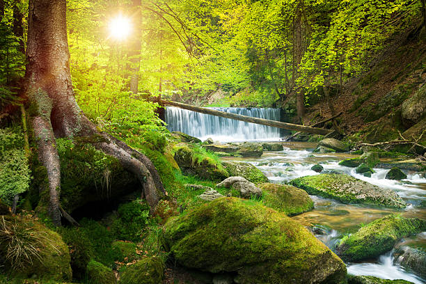 Waterfall on the Mountain Stream located in Misty Forest - XXXL HDR image