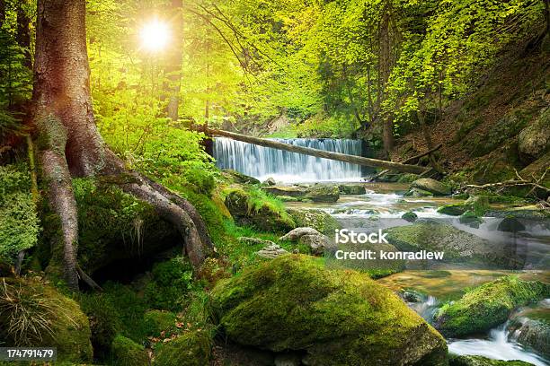 Waterfall On The Mountain Stream Located In Misty Forest Stock Photo - Download Image Now