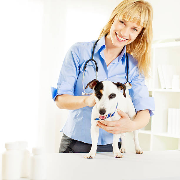 istock Young Female Veterinary Caring About Dog. 174791495
