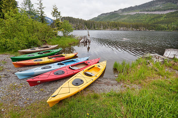 istock Group of Kayaks 174791608