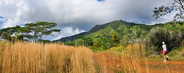 istock Hiking in rural Kauai 174791763