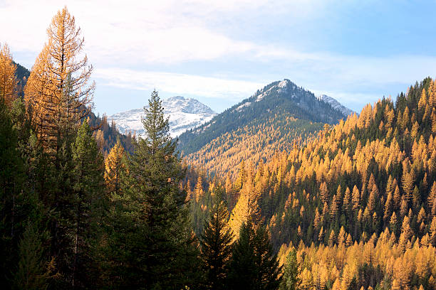 Montana landscape in autumn
