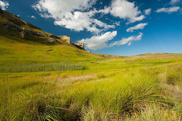 Maluti mountains grasslands golden gate highlands national park stock pictures, royalty-free photos & images