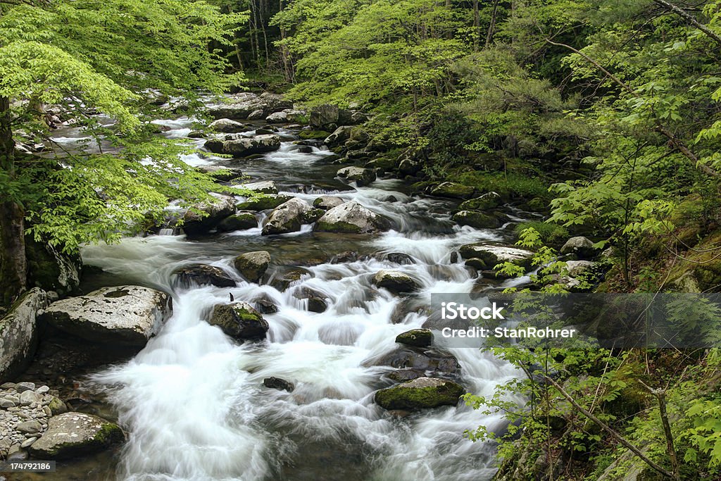 Scorrere cascate, centro dente piccolo fiume Montagne Fumose Tennessee - Foto stock royalty-free di Acqua