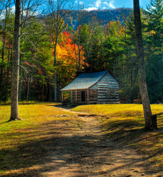 cabina, cades cove, montañas great smoky, gatlinburg tennessee, ee.uu. - house appalachian mountains architectural feature architectural styles fotografías e imágenes de stock