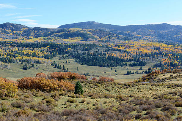 Peaceful Valley stock photo