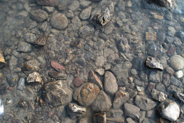 istock Top view of stones in water texture bckground 1747930383