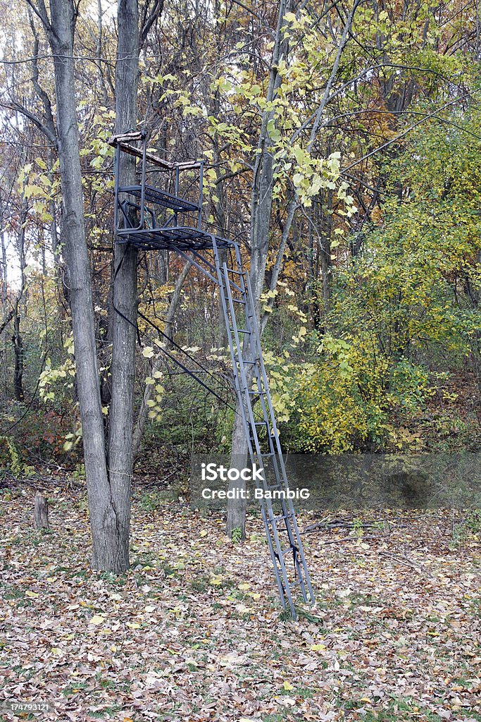 Arbre Stand - Photo de Affût de chasse libre de droits