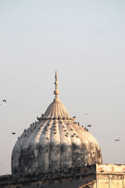 istock Birds at the old mosque top 1747931435