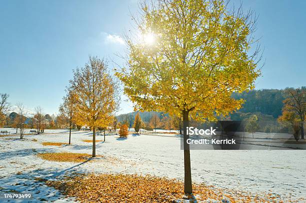 Frühen Schnee Im Oktober Stockfoto und mehr Bilder von Ahorn - Ahorn, Ast - Pflanzenbestandteil, Auf die Uhr sehen