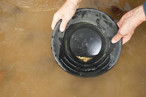 A male hand is holding a gold pan above a murky river. A large quantity of real gold nuggets and flakes rest in the bottom of the pan covered with water. The specialized pan has three ridges to assist in catching gold while washing away sand. There is some debris floating on the surface of the water.