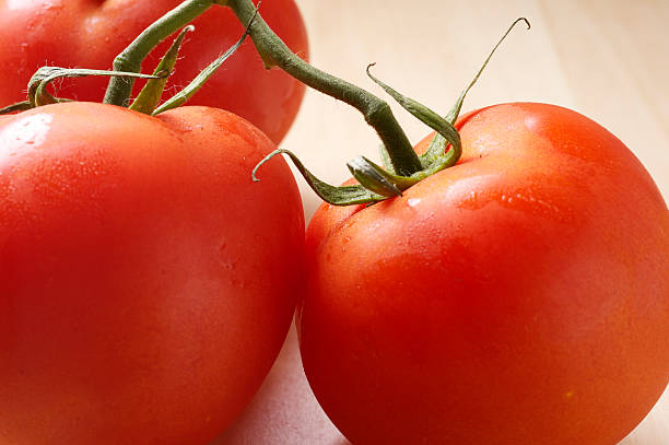 Vine Tomatoes stock photo