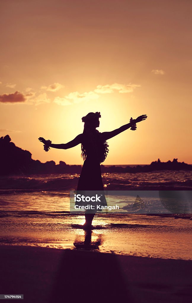 Schöne junge Hula-Tänzer - Lizenzfrei Hawaii - Inselgruppe Stock-Foto