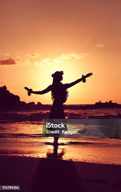 Красивые Молодые Танцор Хулы — стоковые фотографии и другие картинки Гавайские острова - Гавайские острова, Гирлянда, Образ жизни
