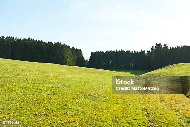 Maravillosa Vista Panorámica A Un Campo Foto de stock y más banco de imágenes de Aire libre - Aire libre, Ajardinado, Alemania