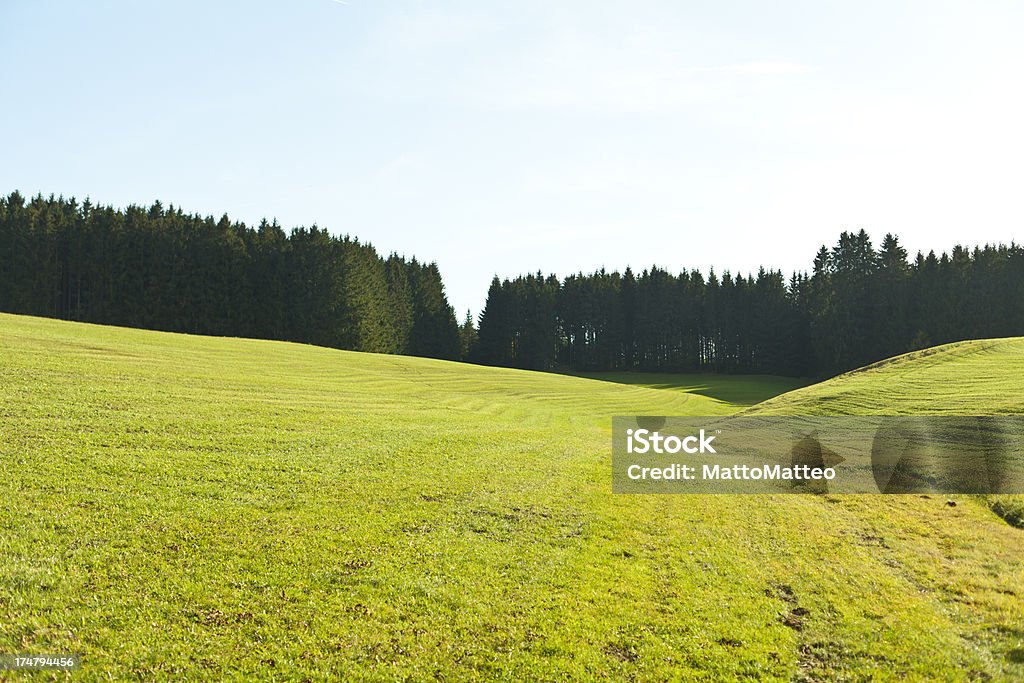 Superbe vue panoramique sur le terrain - Photo de Allemagne libre de droits