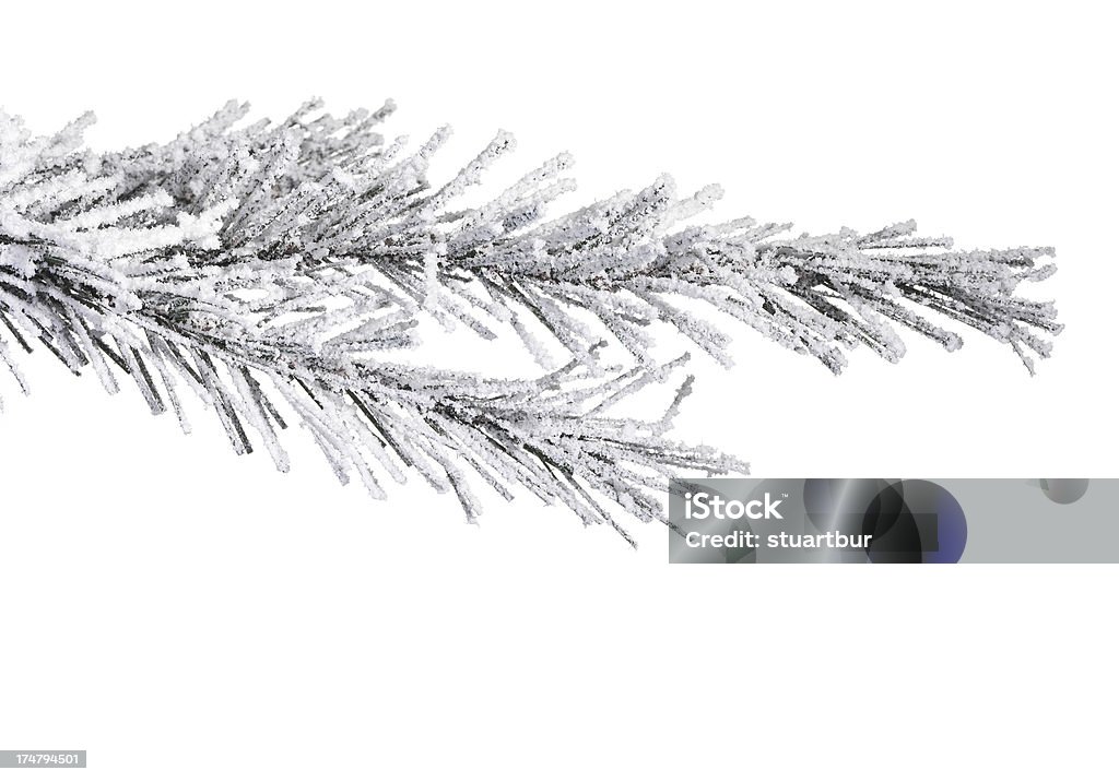 クリスマスツリーと雪 - カットアウトのロイヤリティフリーストックフォト