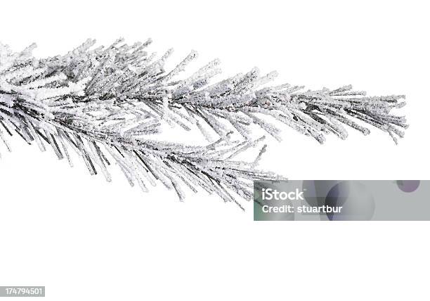 クリスマスツリーと雪 - カットアウトのストックフォトや画像を多数ご用意 - カットアウト, クリスマス, クリスマスツリー