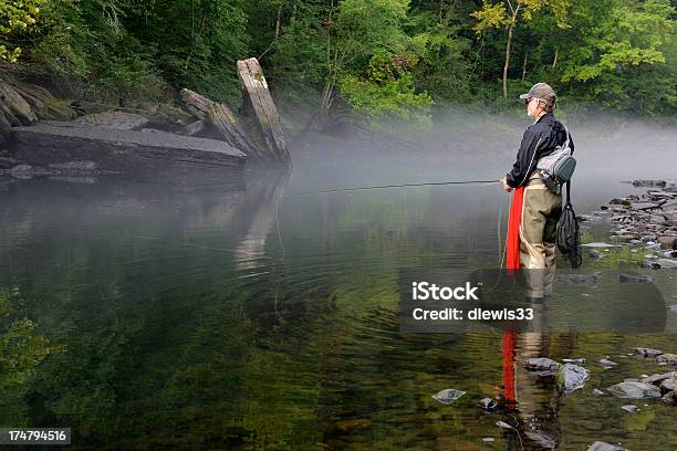 Photo libre de droit de Fly Fisherman banque d'images et plus d'images libres de droit de Arkansas - Arkansas, Personne humaine, Prise de vue en extérieur