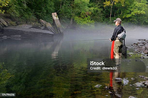 Mosca Pescador - Fotografias de stock e mais imagens de Ao Ar Livre - Ao Ar Livre, Arkansas, Pessoas
