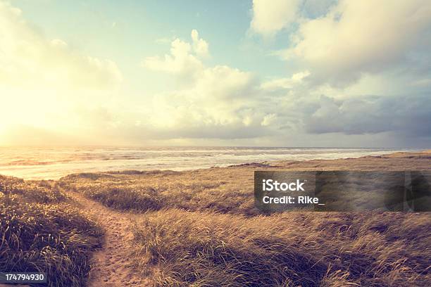 Dune Landscape Stock Photo - Download Image Now - Nature, Beach, Denmark