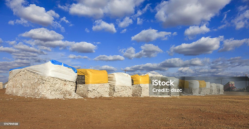 Módulos de algodón en Ginebra yard listo para ginning - Foto de stock de Planta de algodón libre de derechos