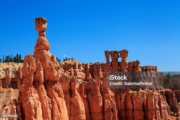 Parco Nazionale Bryce Canyon Utah Stati Uniti - Fotografie stock e altre immagini di Albero - Albero, Ambientazione esterna, Blu