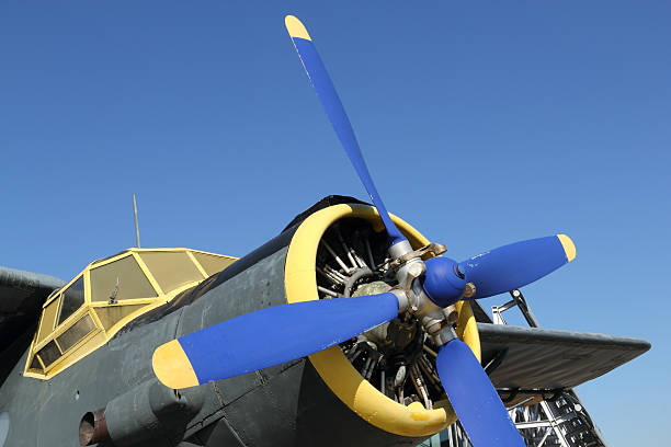 istock Historic airplane Antonov An-2 174795421