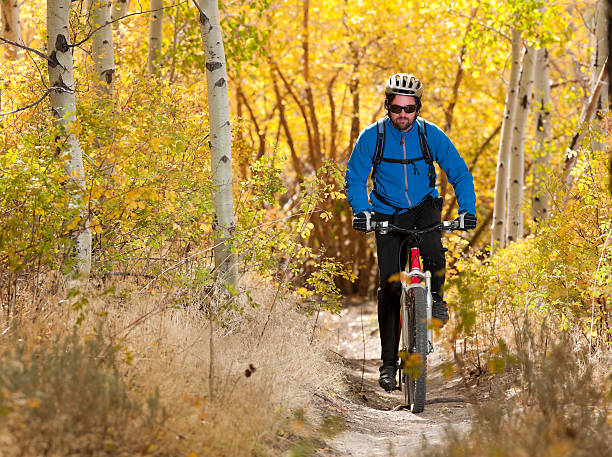 riding a amarillo aspens - usa action adventure aspen tree fotografías e imágenes de stock