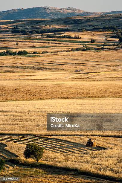 Photo libre de droit de Terre Cultivée banque d'images et plus d'images libres de droit de Activité - Activité, Agriculture, Arbre