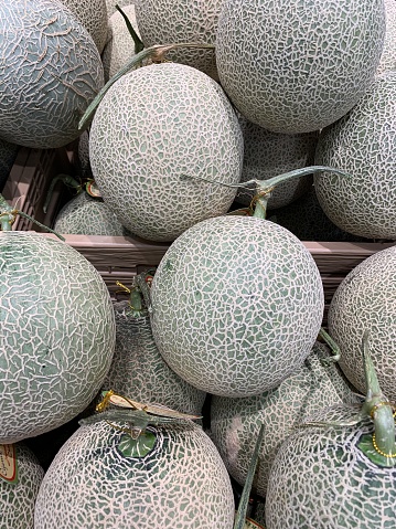 Japanese melon varieties, including Ibara, Crown, and Yubari King Melons. These Japanese fruit options are grown for a different lengths of time and with different care.