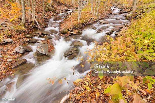 Outono Transmissões Incorporadas - Fotografias de stock e mais imagens de Conexão - Conexão, Amarelo, Ao Ar Livre