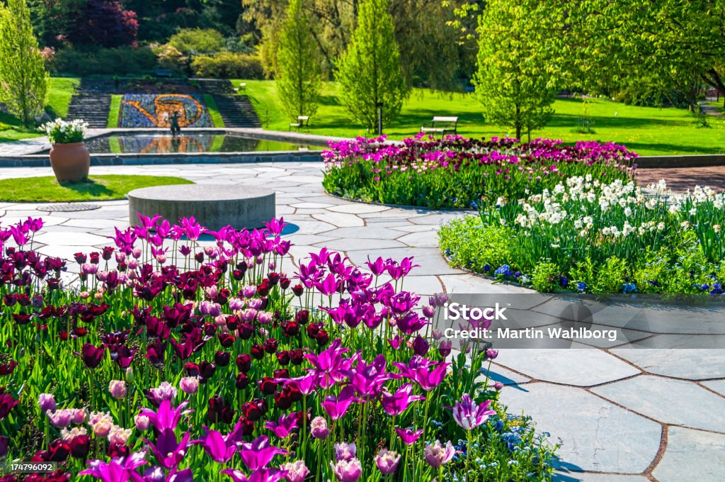 Tulip Flowerbeds and pond Flowerbed and slates in a beautiful garden Paving Stone Stock Photo