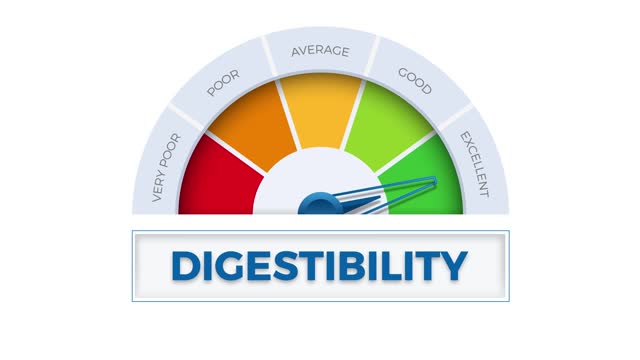 The word Digestibility on meter. Speedometer which measures the level of excellent digestibility. Animated illustration