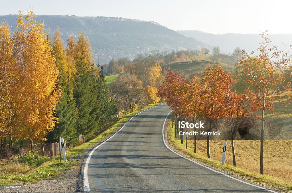 Herbstliche Landschaft mit country street - Lizenzfrei Ast - Pflanzenbestandteil Stock-Foto