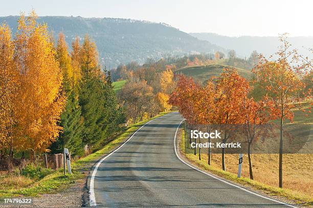 Herbstliche Landschaft Mit Country Street Stockfoto und mehr Bilder von Ast - Pflanzenbestandteil - Ast - Pflanzenbestandteil, Baum, Birke