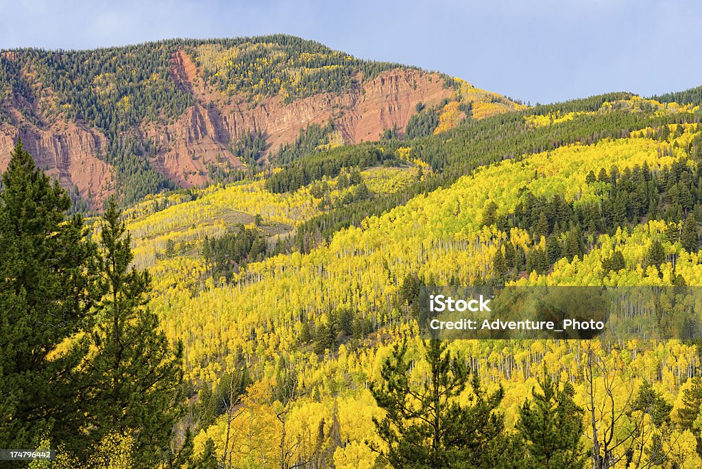 秋の色の山々の美しい眺め - アメリカ合衆国のロイヤリティフリーストックフォト