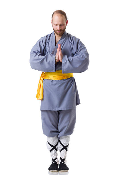 kung fu fighting posizione isolato su bianco - self defense wushu action aggression foto e immagini stock